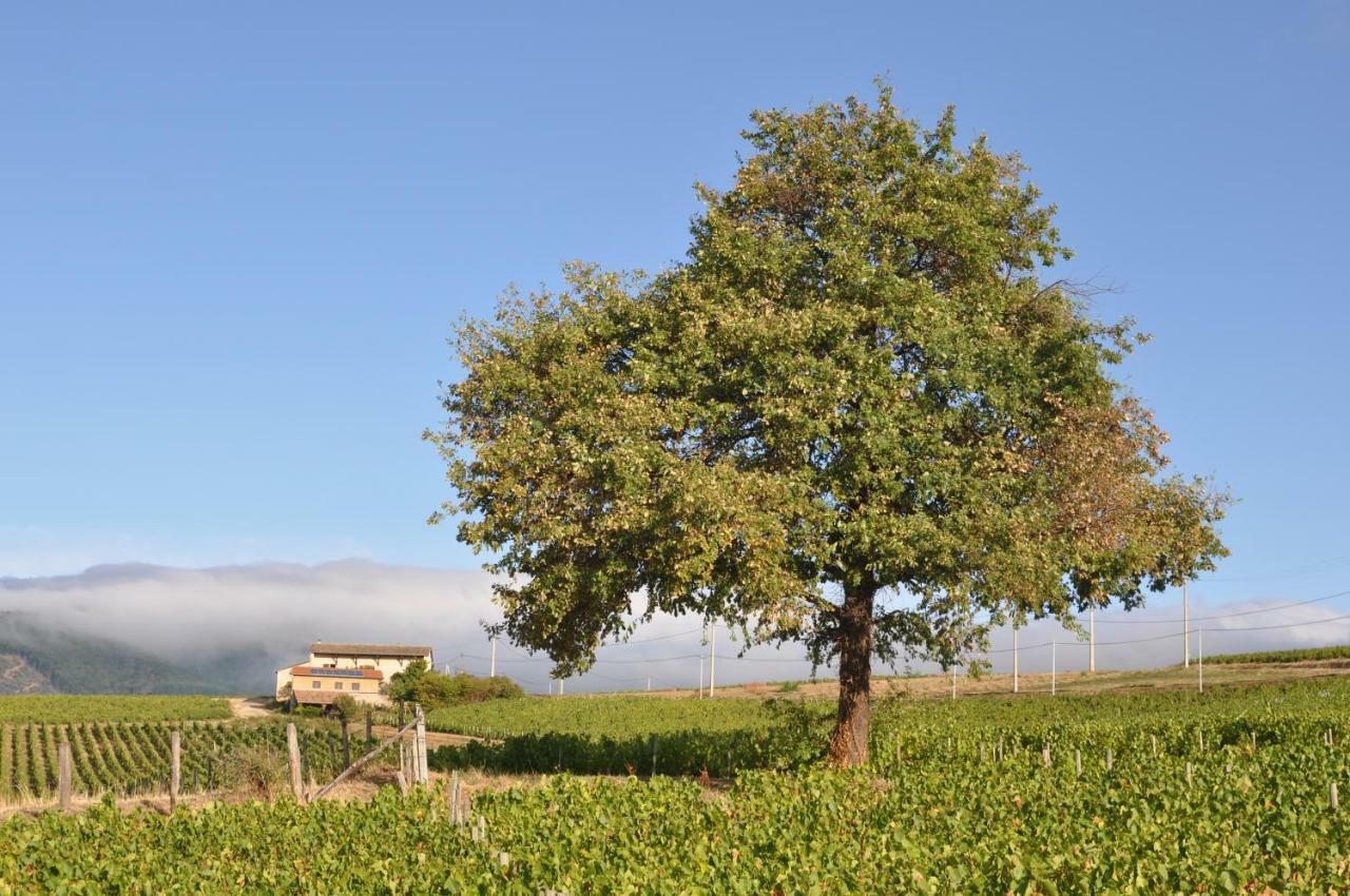 Gite Le Pot De Vin Lancié Εξωτερικό φωτογραφία